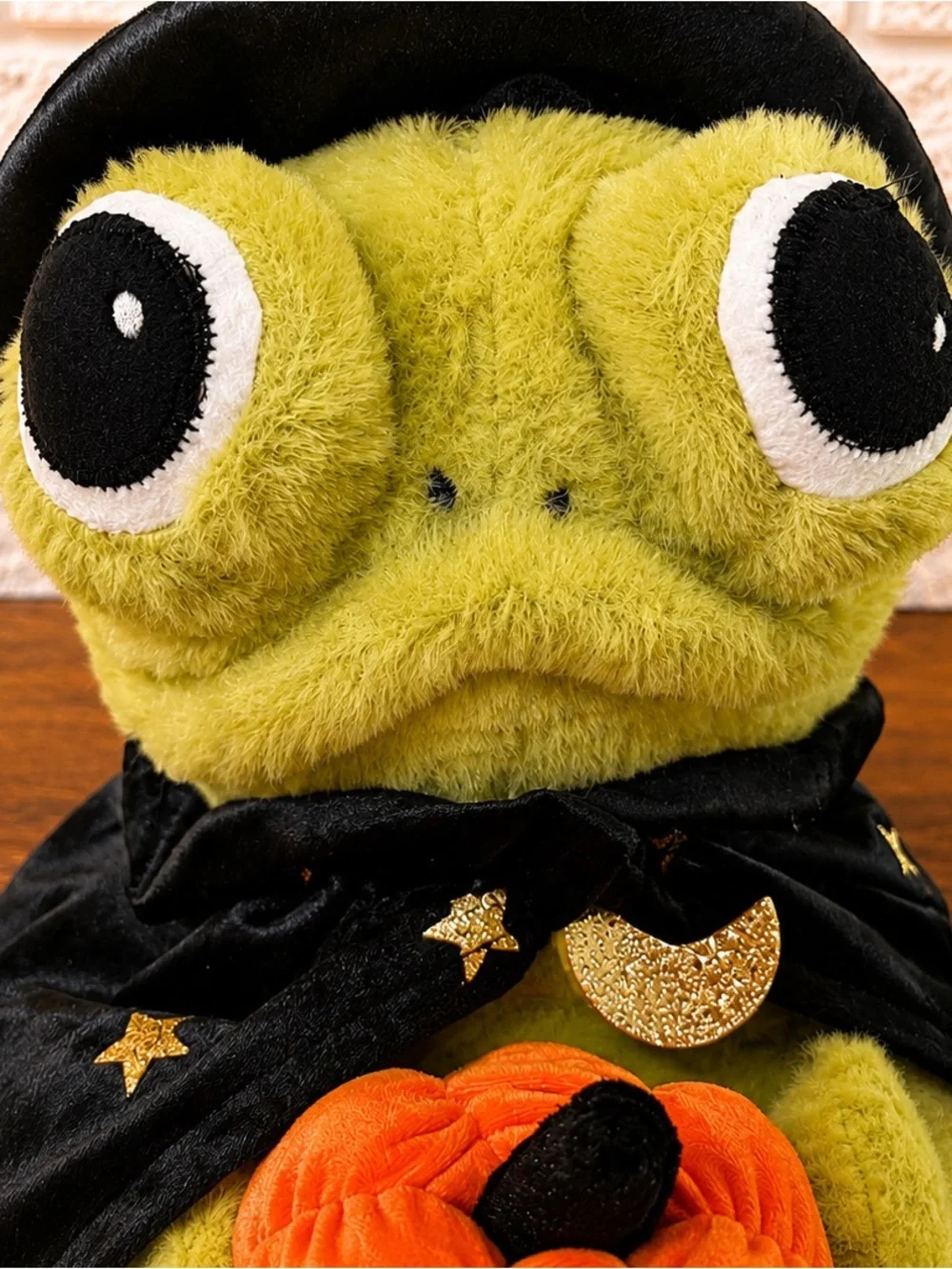 2026 Viral Moonlight Manor Wizard Frog Black Holding Pumpkin